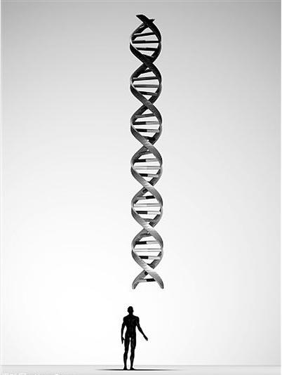 10万年后的人类生活是什么样：十万年后的人类（图）