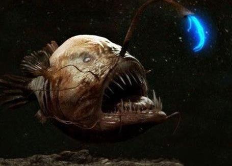 野生动物排行榜:世界十大最珍稀野生动物排行榜 野生动物排行榜:世界十大最珍稀野生动物排行榜