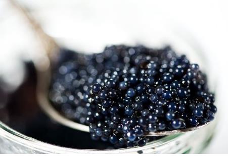 世界杯美食凑热闹：看世界杯必尝的十种美食（图）