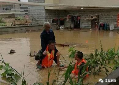 婴儿为战士撑伞:小宝宝紧紧地抓住雨伞,事情的经过令人感动 婴儿为战士撑伞:小宝宝紧紧地抓住雨伞,事情的经过令人感动