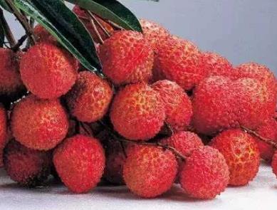 空腹吃荔枝后果恐怖:吃荔枝要注意什么事项 空腹吃荔枝后果恐怖:吃荔枝要注意什么事项