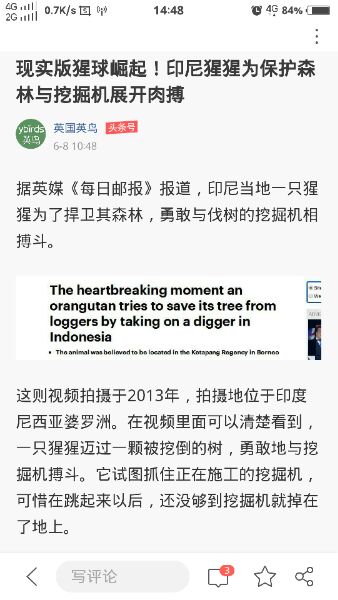 猩猩与挖掘机肉搏：现实版猩球崛起（图）