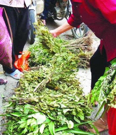 端午节习俗：关于端午节的习俗有哪些,各地端午节习俗