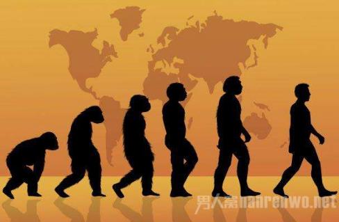 寿命最长的动物：十大世界上寿命最长的动物