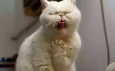 史上最难最变态绕口令:红鲤鱼绿鲤鱼和驴,绕口令前十名 史上最难最变态绕口令:红鲤鱼绿鲤鱼和驴,绕口令前十名