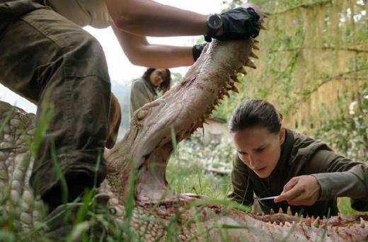 湮灭电影解析:湮灭神级烧脑好看的科幻影片全解析 湮灭电影解析:湮灭神级烧脑好看的科幻影片全解析