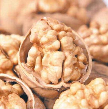 吃了那么长时间的核桃：竟不知核桃分心木的功效