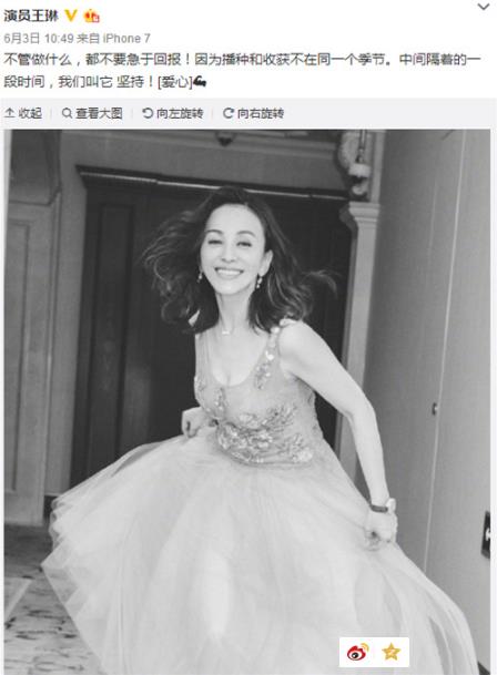 王琳穿低胸公主裙:一件美丽的薄纱裙,48岁王琳风韵犹存 王琳穿低胸公主裙:一件美丽的薄纱裙,48岁王琳风韵犹存