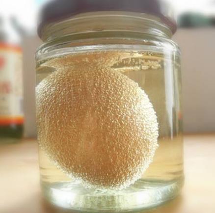 鸡蛋和什么一起吃好 鸡蛋配一物降压降脂有奇效（图）