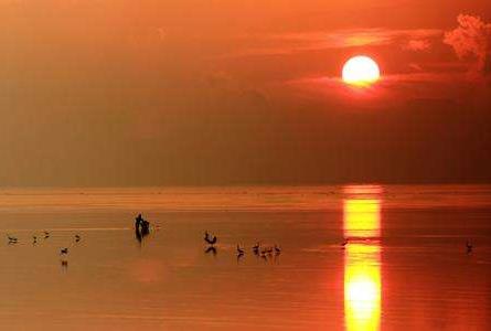 骄阳似火的意思：骄阳似火是什么意思,小说骄阳似火介绍