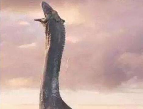 长白山天池水怪:长白山天池水怪真实照片你见过吗 长白山天池水怪:长白山天池水怪真实照片你见过吗