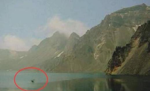长白山天池水怪:长白山天池水怪真实照片你见过吗 长白山天池水怪:长白山天池水怪真实照片你见过吗