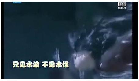 长白山天池有没有水怪:天池水怪的来历及真面目 长白山天池有没有水怪:天池水怪的来历及真面目