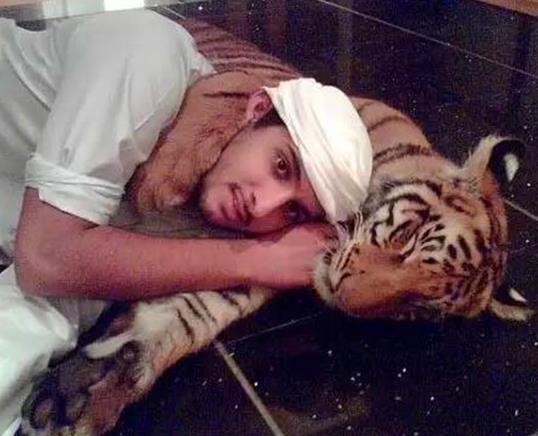 迪拜王子奢侈的豪华生活 没有想不到只有你不知道(组图) 迪拜王子奢侈的豪华生活 没有想不到只有你不知道(组图)