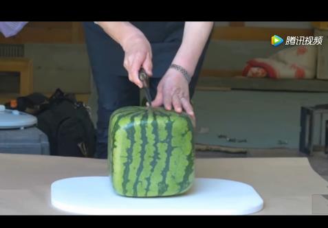 日本方西瓜切开后的样子：培育出来价格昂贵切开竟这样