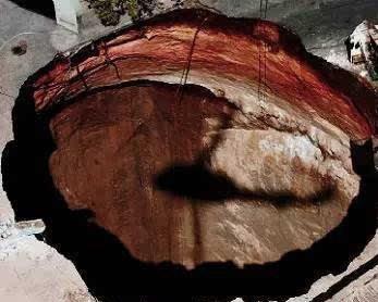 世界十大灵异事件：十大灵异事件至今无法证明原因