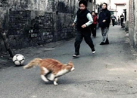 发小是什么意思:发小是什么,这样才算是发小(图) 发小是什么意思:发小是什么,这样才算是发小(图)