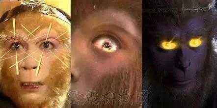 西游记中这一真相骗了我们30年：这些谜团你真不懂