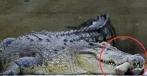 费米悖论:盘点恐怖的哲学悖论(费米悖论最恐怖) 费米悖论:盘点恐怖的哲学悖论(费米悖论最恐怖)