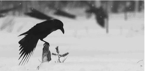 费米悖论:盘点恐怖的哲学悖论(费米悖论最恐怖) 费米悖论:盘点恐怖的哲学悖论(费米悖论最恐怖)