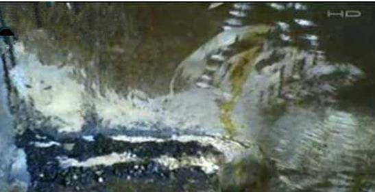 香港狐仙事件：揭1981年骇人听闻的香港狐仙灵异事件