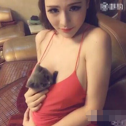 嫩模傲人G罩杯魔鬼身材：嫩模挺傲人上围夹活猫