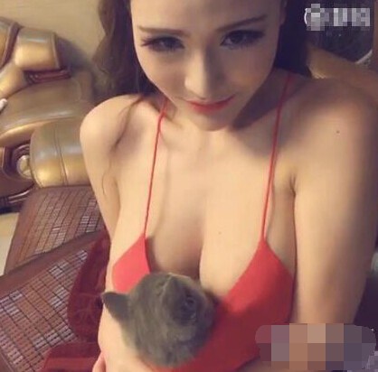 嫩模傲人G罩杯魔鬼身材：嫩模挺傲人上围夹活猫