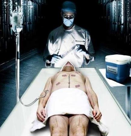 最新恐怖小说：冷门好看恐怖小说,完结悬疑灵异小说