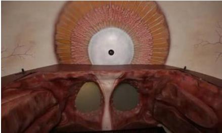 世界首座人体大厦:一次奇妙的人体之旅,全面了解人体结构 世界首座人体大厦:一次奇妙的人体之旅,全面了解人体结构