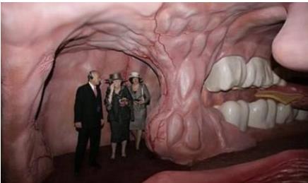 世界首座人体大厦：一次奇妙的人体之旅,全面了解人体结构