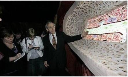 世界首座人体大厦：一次奇妙的人体之旅,全面了解人体结构