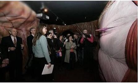 世界首座人体大厦：一次奇妙的人体之旅,全面了解人体结构