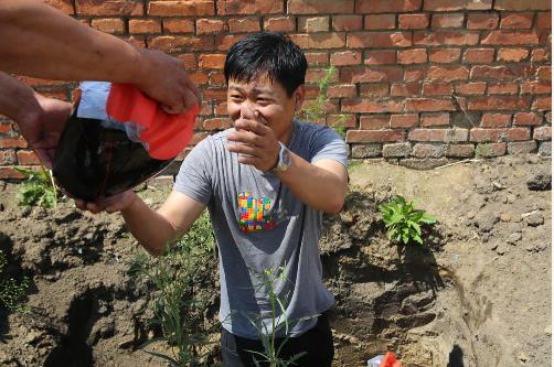农家院现160斤太岁：太岁酿酒或酿水,一份不错的家产