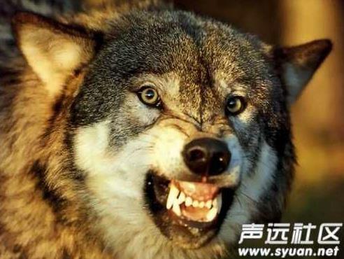 你们的男朋友是什么样的：快看看你心中的男友什么样