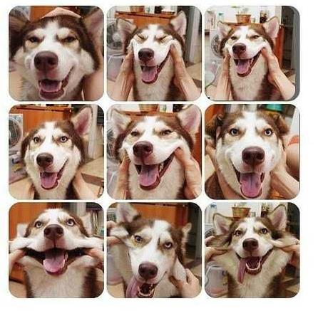 你们的男朋友是什么样的：快看看你心中的男友什么样