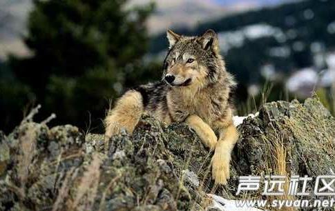 你们的男朋友是什么样的：快看看你心中的男友什么样