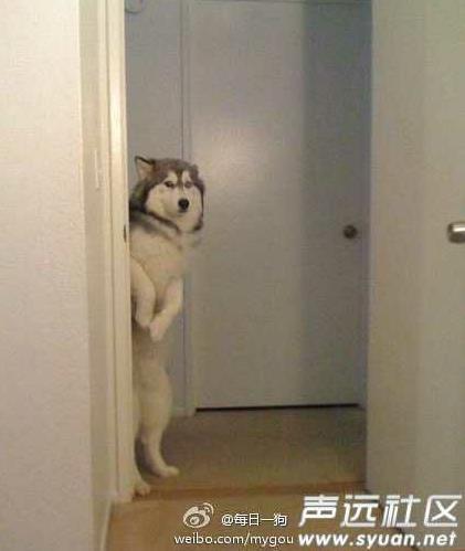 你们的男朋友是什么样的：快看看你心中的男友什么样