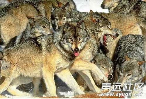 你们的男朋友是什么样的：快看看你心中的男友什么样