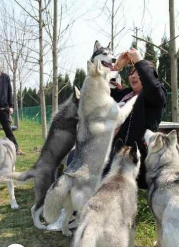 你们的男朋友是什么样的：快看看你心中的男友什么样