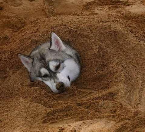 你们的男朋友是什么样的：快看看你心中的男友什么样