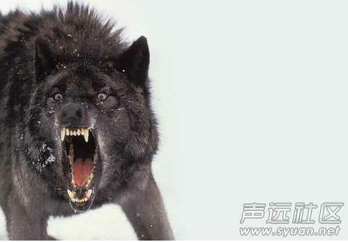 你们的男朋友是什么样的：快看看你心中的男友什么样