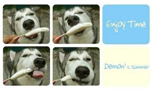 你们的男朋友是什么样的：快看看你心中的男友什么样