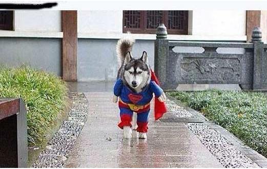 你们的男朋友是什么样的：快看看你心中的男友什么样