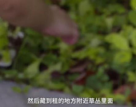 男子偷iPhoneX埋土里 网友:放我去挖!(组图) 男子偷iPhoneX埋土里 网友:放我去挖!(组图)