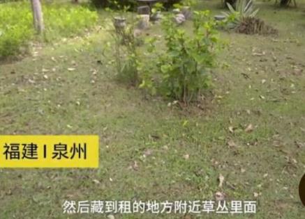 男子偷iPhoneX埋土里 网友:放我去挖!(组图) 男子偷iPhoneX埋土里 网友:放我去挖!(组图)