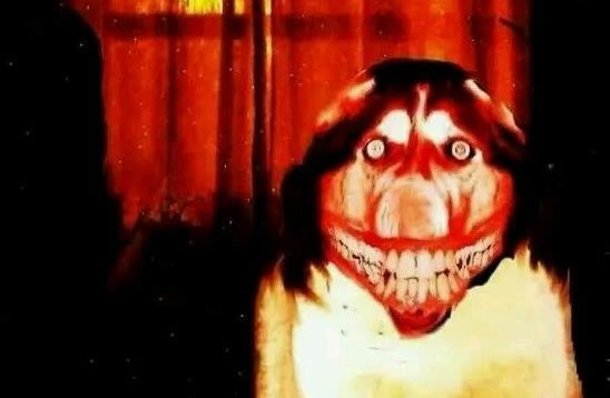 微笑狗为什么吓人,微笑狗背后的恐怖传说(原图慎点) 微笑狗为什么吓人,微笑狗背后的恐怖传说(原图慎点)