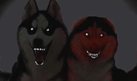 微笑狗为什么吓人,微笑狗背后的恐怖传说(原图慎点) 微笑狗为什么吓人,微笑狗背后的恐怖传说(原图慎点)