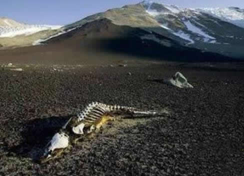 1979年昆仑山事件真相揭秘:神秘事件仍是谜(图) 1979年昆仑山事件真相揭秘:神秘事件仍是谜(图)