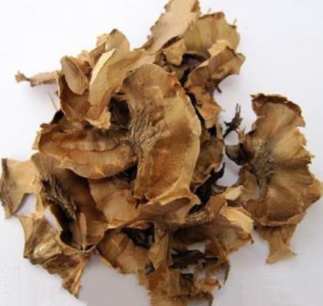 核桃分心木:什么是核桃分心木,食用方法介绍 核桃分心木:什么是核桃分心木,食用方法介绍