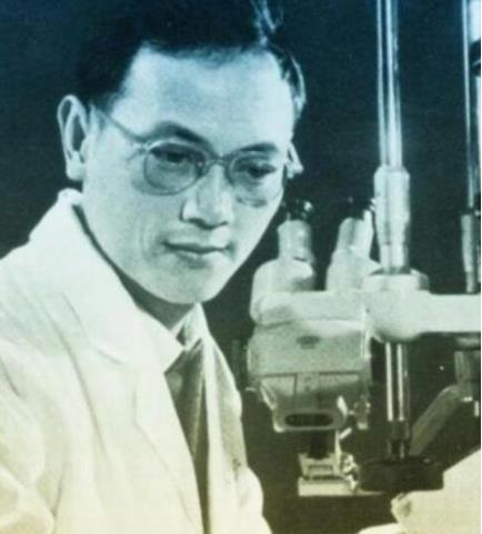 双鱼玉佩恐怖的图片:罗布泊双鱼玉佩到底是什么揭晓 双鱼玉佩恐怖的图片:罗布泊双鱼玉佩到底是什么揭晓